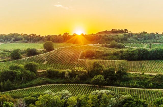 Autoproduzione di energia da fonti rinnovabili nelle PMI – Nuovo Sportello